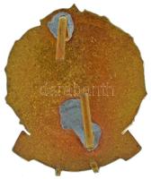 1950. "Ejtőernyős oktató" zománcozott bronz sapkajelvény T:XF hátlapon pótólt pántokkal