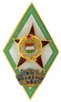 1960-1970. "BM (Belügyminisztérium) Akadémia Határőr" aranyozott, zománcozott sapkajelvény (45x25mm) T:XF