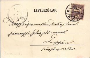 1901 Temesvár, Timisoara; Jenő herceg tér, Temesi Agrár Takarékpénztár, Rukavina emlékmű (szégyenszo...