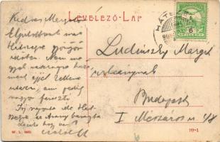 1909 Karánsebes, Caransebes; Fő utca, papírkereskedés és könyvnyomda, üzletek. W.L. 9951. / main str...