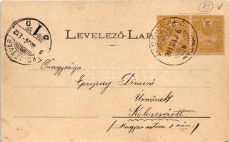 1901 Dicsőszentmárton, Tarnaveni, Diciosanmartin; Állami polgári fiú-, polgári leány- és elemi iskol...