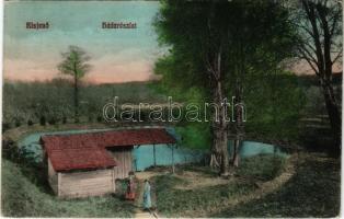 1912 Kisjenő, Kis-Jenő, Chisineu-Cris; Háda részlet. Rosenthal Pál kiadása / park, pond (EK)