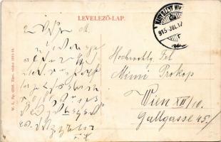 1915 Nagyszentmiklós, Sannicolau Mare; Fő tér, városháza, üzletek. W.L. Bp. 6703. / main square, tow...