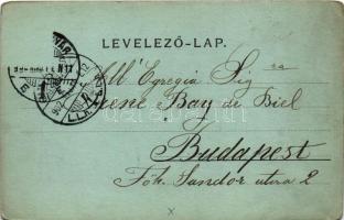 1902 Kolozsvár, Cluj; Korbonctani intézet este holdfényben. Dunky Fivérek cs. és kir. udvari fénykép...