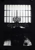 1981 Váli Dezső kiállítása, Műcsarnok, ofszet, papír. (Próbanyomat?). 81,5×58 cm