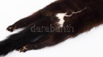 Nyest sál, h: cca 130 cm