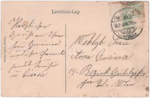 1907 Léva, Levice; látkép. Schulcz Ignác kiadása / general view (fl)