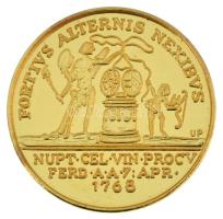 DN "Mária Terézia - egy dinasztia születése" sorozat, "Mária Karolnia Lujza érem 1768...