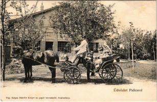 Palics, Palic; villa, hintó. Vig Zsigm. Sándor kiadása / villa, horse-drawn carriage (fl)
