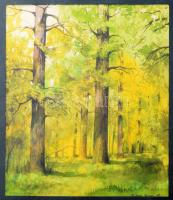 M. Szabó Bence (-): Koraőszi erdő. Akvarell, papír, jelezve jobbra lent. Üvegezett fakeretben, 19,5×16,5 cm.