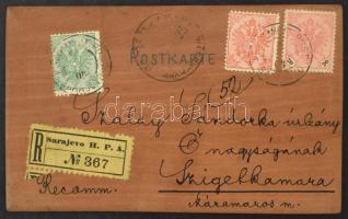 ~1904 Ajánlott, kézzel rajzolt fa képeslap