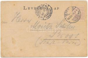 1898 (Vorläufer) Segesvár, Schassburg, Sighisoara; Villa Franca, Sächs. Bauernzimmer / nyaraló, erdé...