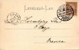 1900 Herkulesfürdő, Baile Herculane; látkép / general view. Stengel &amp; Co. 5251. (EB)