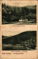 Kovászna-fürdő, Baile Covasna; Izvorul Horgas, Trenul Industrial / Horgas-forrás, Iparvonat, iparvasút, gőzmozdony / spa, spring source, industrial railway, locomotive, train (EB)