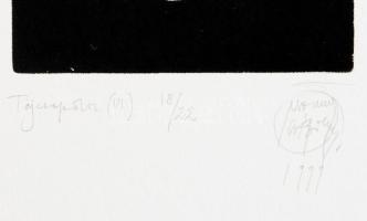 Nagy Gábor (1949-): Táj (...), 1999. Rézkarc, papír, jelzett, 17/22 számozással, 22×10,5 cm