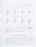 Endrődy Ágoston: A militaryló kiképzése. Adj esélyt a lovadnak! A ló és a lovas kiképzése militaryre...