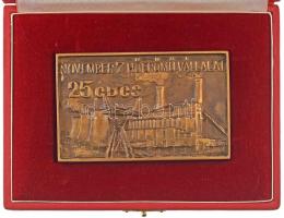 1980 k. "Gázturbinás csúcserőmű / November 7 Hőerőművállalat 25 éves" az Inotai hőerőművet ábrázoló kétoldalas bronz emlékplakett, eredeti tokban (60x98mm) T:AU