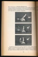 Godfrey Devereux: A jóga alapjai. Ford.: Szathmáry Kinga. Bp., 2002, Bioenergetic Kft., 189+(7) p. K...