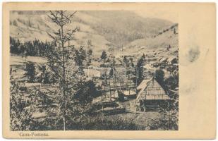 1917 Gura-Fontena, Gura fo utina, Borsafüred (Máramaros, Maramures); látkép / general view + feldpost (fl)
