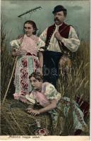 Miskolc, magyar aratók