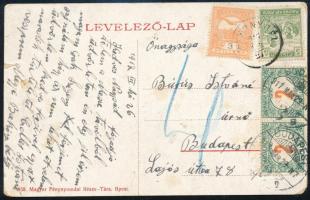 1917 Távolsági képeslap Turul 3f + Arató 5f vegyes bérmentesítéssel + Pirosszámú zöldportó 2 x 2f "BAKONYBÉL" - "BUDAPEST"