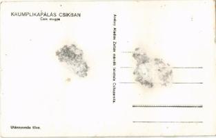 Csík vármegye, krumplikapálás Csíkban. Andory Aladics Zoltán mérnök felvétele (Csíkszereda) / Comita...