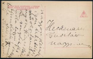 Thomán István (1862-1940) zongoraművész, Liszt Ferenc egyik kedvenc tanítványa saját kézzel írt és a...