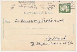 Szacsal, Sacel; Báró Nopcsa kastély. Kendoff A. és fia kiadása / castle (EK)