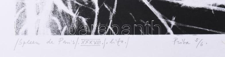 Véssey Gábor (1948-): Spleen de Paris XXXIV, 2002. Litográfia, papír, jelzett, próbanyomat 5/6 számo...