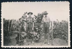 cca 1938 Cserkészek a szőlőben mámoros hangulatban, hátoldalon feliratozott fotó, 6×8,5 cm