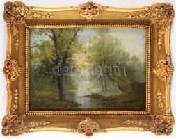 Mesterházy Dénes (1900-1949 körül): Táj. Olaj, karton, jelzett. Dekoratív, üvegezett fakeretben, 25×35 cm