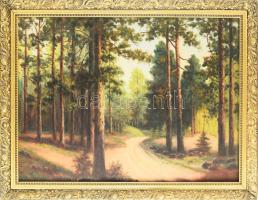 Jelzés nélkül: Táj. Olaj, vászon. Dekoratív fakeretben. 57x78 cm