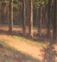 Jelzés nélkül: Táj. Olaj, vászon. Dekoratív fakeretben. 57x78 cm