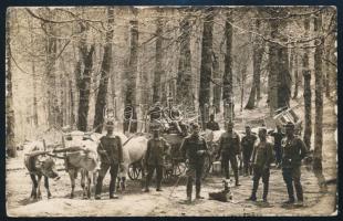cca 1917 Magyar katonai egység által ökrös szekéren szállított irodabútorok egy erdőben a front mögött, fotó, 9×13 cm