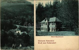 1914 Kabold, Kobersdorf; Pauli Berg u. Waldmühle, Wald Sauerbrunn / Pálhegy és erdőmalom, Savanyúkút. Devald kiadása / forest mill, spa, mineral water spring (kicsit ázott sarok / slightly wet corner)