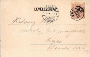 1899 (Vorläufer) Tusnádfürdő, Baile Tusnad; fürdő. Kunstanstalt Kosmos szecessziós-virágos keret / s...