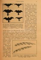 A Műveltség Útja sorozat I-III. kötete. Bp., é.n., Tolnai Nyomdai Műintézet és Kiadóvállalat R.-T. K...