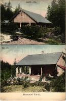 Homoródfürdő, Homoród-fürdő, Baile Homorod; Judith villa, Gál villa. Dragomán kiadása / villas (EB)