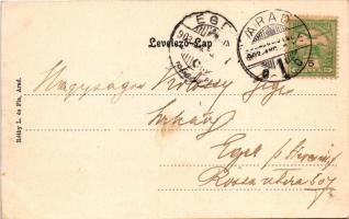 1903 Arad, látkép madártávlatból. Réthy L. és Fia kiadása. Szecessziós lóherés litho keret / general...
