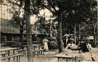 1911 Brassó, Kronstadt, Brasov; Hohe Warte / Magas pihenő vendéglő és szálloda kertje / inn, restaurant and hotel (EK)