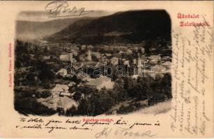 Zalatna, Zlatna; részlet, látkép. Folberth Vilmos kiadása / general view