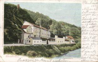 Zidani most (Steinbrück)  oil factory (EB)