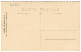 Nagyszeben, Hermannstadt, Sibiu; Piata Regele Ferdinand / Ferdinánd király tér télen, lovas szán, Ma...