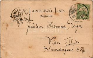 1902 Eszék, Esseg, Osijek; dolnji grad / Unterstadt. Verlag Eugen Selzer / general view (r)