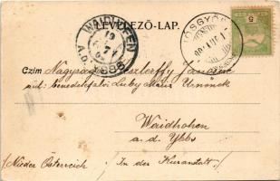 1904 Miskolc, Alsó-Hámor, alagút, a címzett Keszlerffy Jánosné benedekfalvi Luby Mária. Ferenczi B. ...