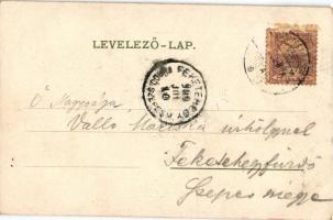 1900 Gödöllő, Királyi kastély. Ripka F. Gödöllő cz. művéből, Pick Testvér. (EB)