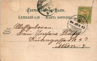 1904 Lipik, Jodbad, Cursalon, Springbrunnen, Wandelbahn, Jodquelle, Curhotel / spa, fountain, promen...