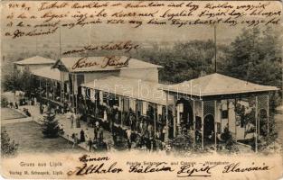 1904 Lipik, Pokriha Seitaliste / fedett csarnok és sétány. M. Schnapek kiadása / Wandelbahn / spa hall (fa)