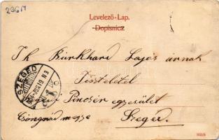 1904 Lipik, Pokriha Seitaliste / fedett csarnok és sétány. M. Schnapek kiadása / Wandelbahn / spa ha...