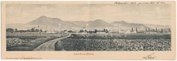 1903 Liptószentmiklós, Liptovsky Mikulás; látkép. Steier Izidor kiadása, 2-részes kihajtható panorámalap / general view. 2-tiled folding panoramacard (lyuk / pinhole)